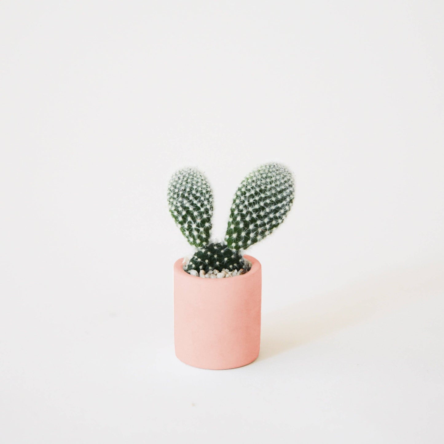 Tiny Pot | Peach