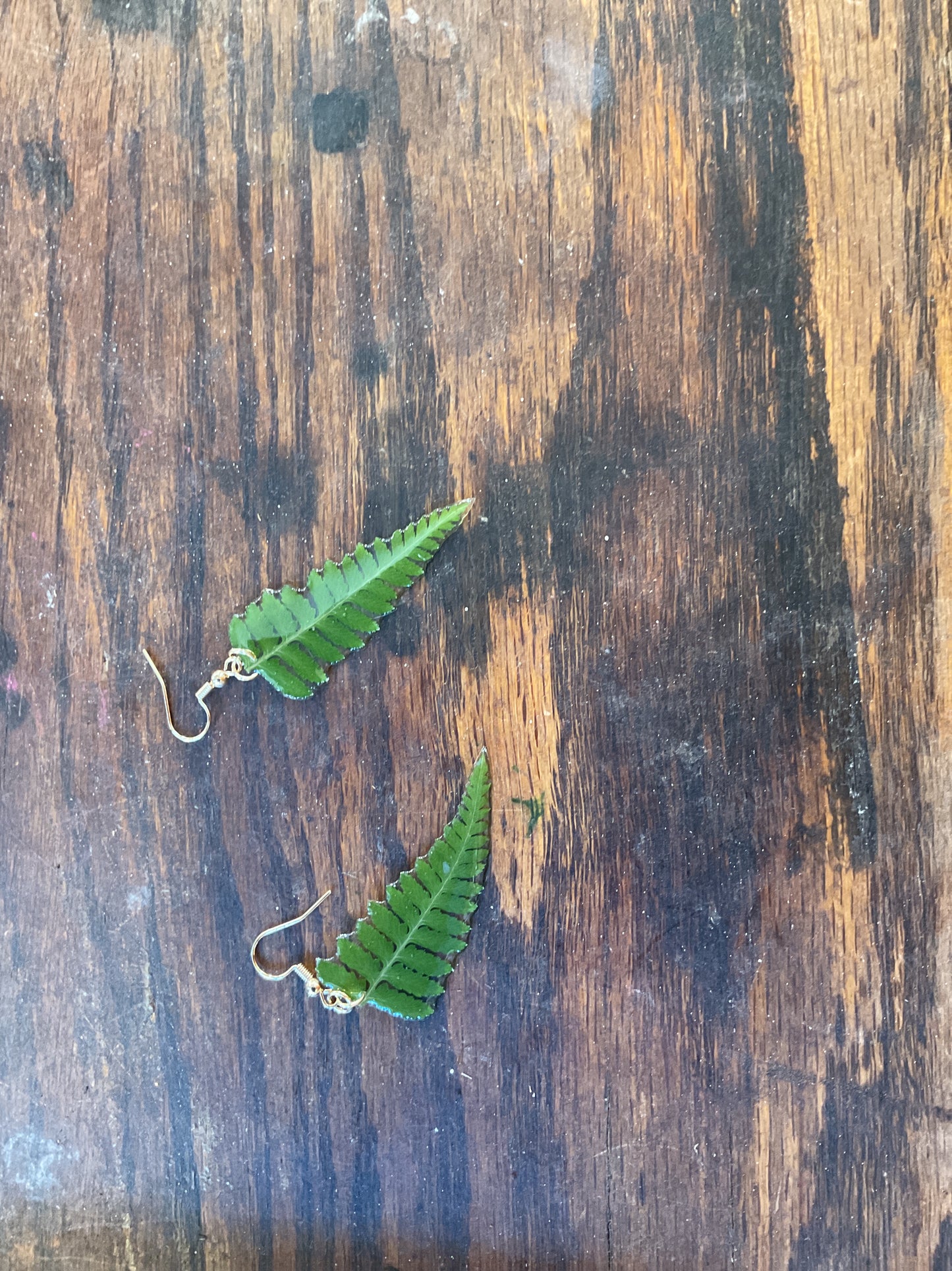 Pressed Fern Resin Earrings