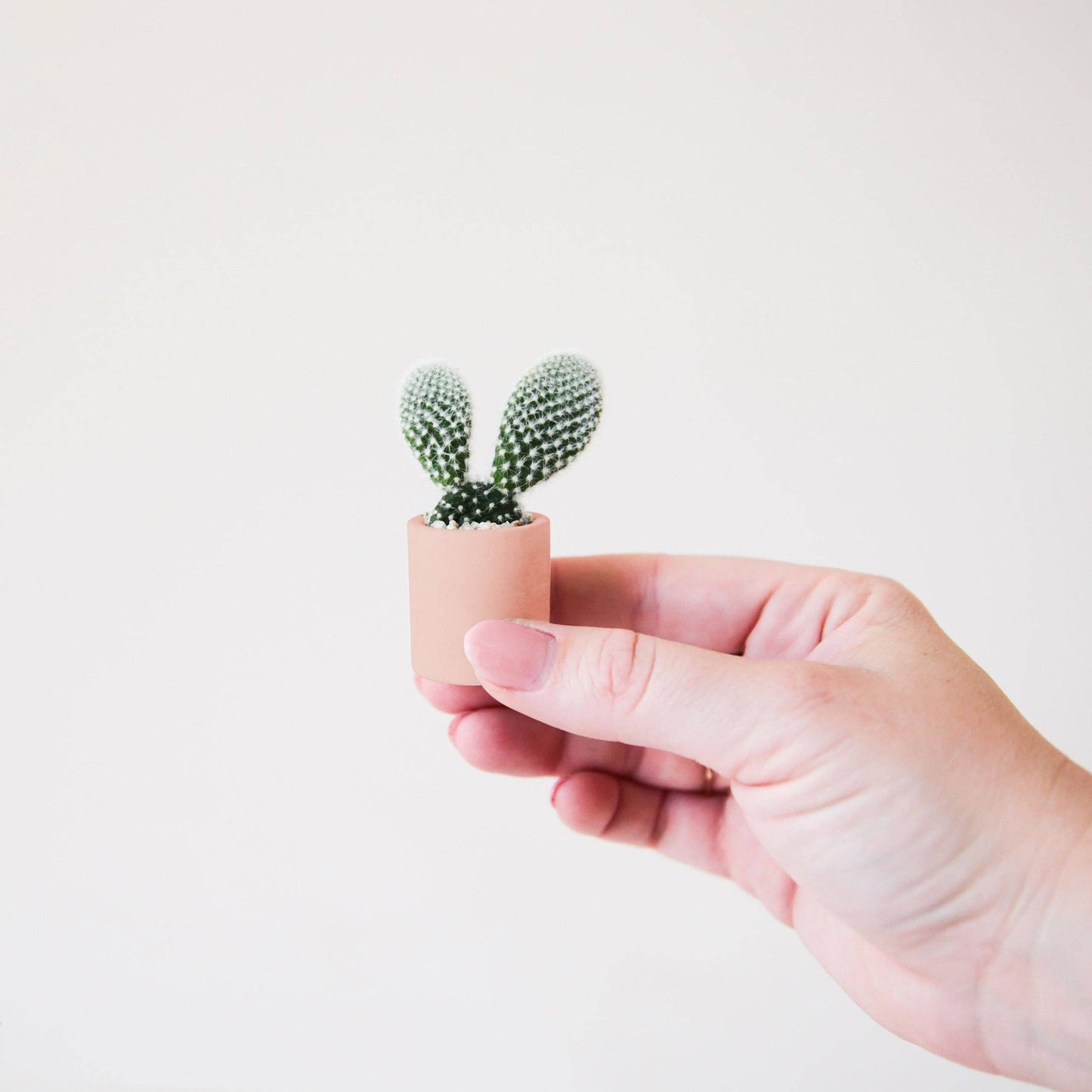 Tiny Pot | Peach