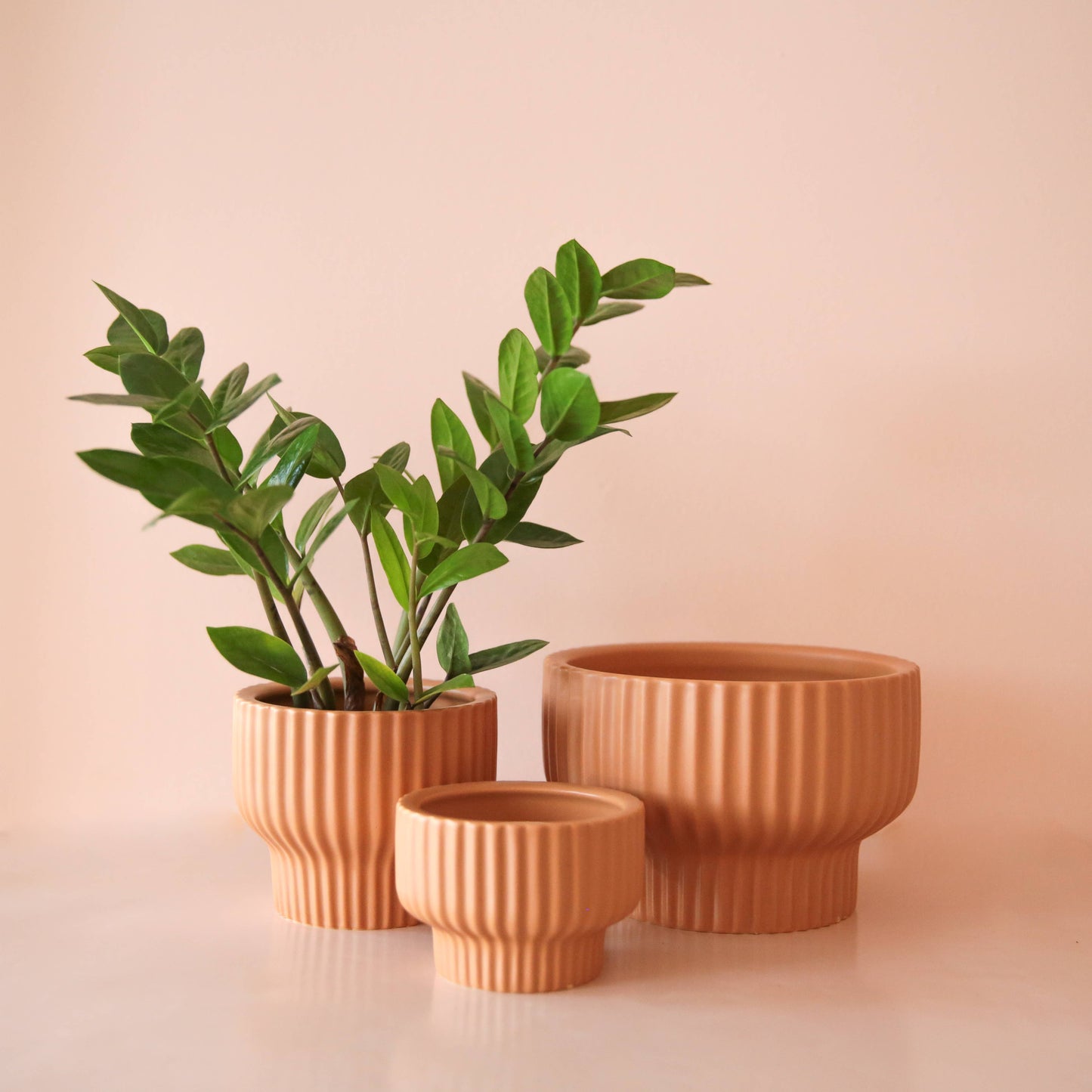Presley Pedestal Planter | Ginger