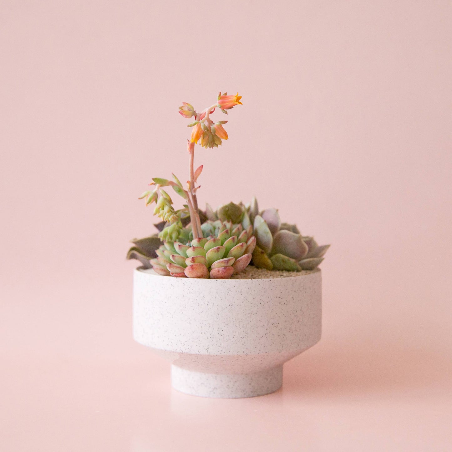 Speckle Footed Planter | White Large