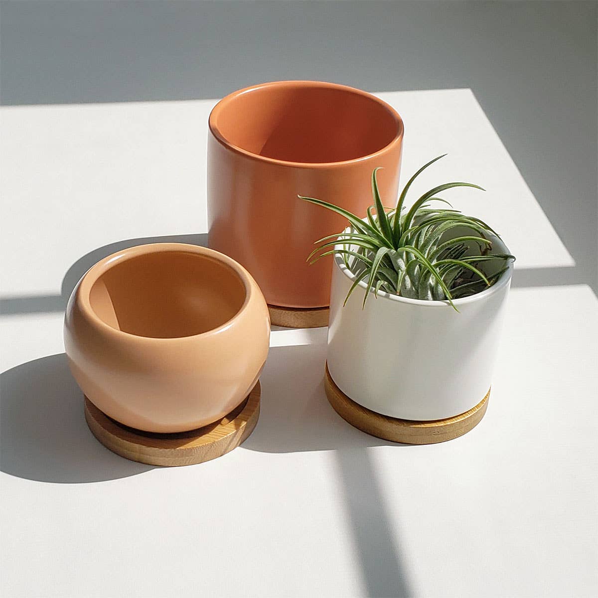 Pink Salmon Ceramic Planter with Bamboo Saucer | 3.5" Round