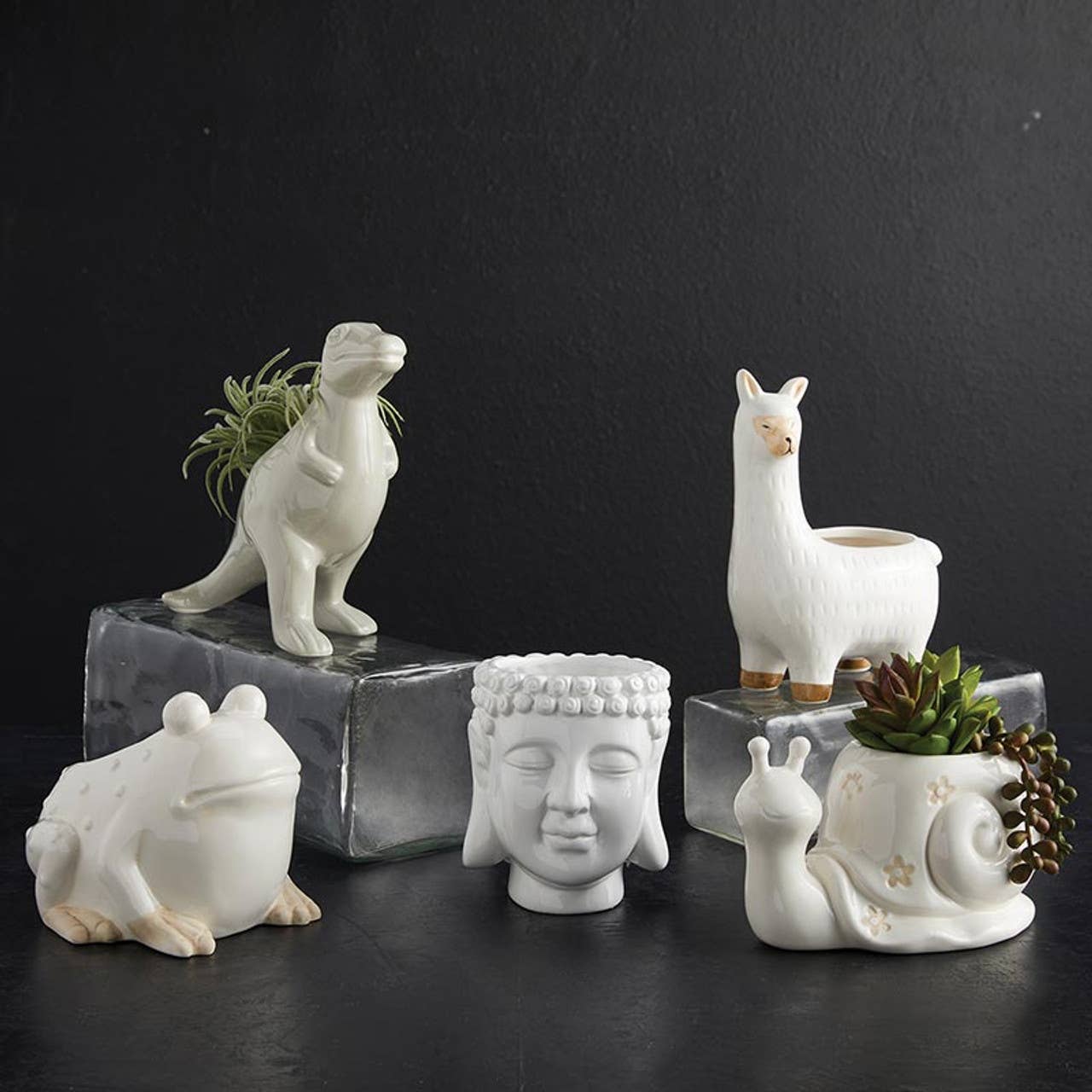 Dinosaur Ceramic Pot
