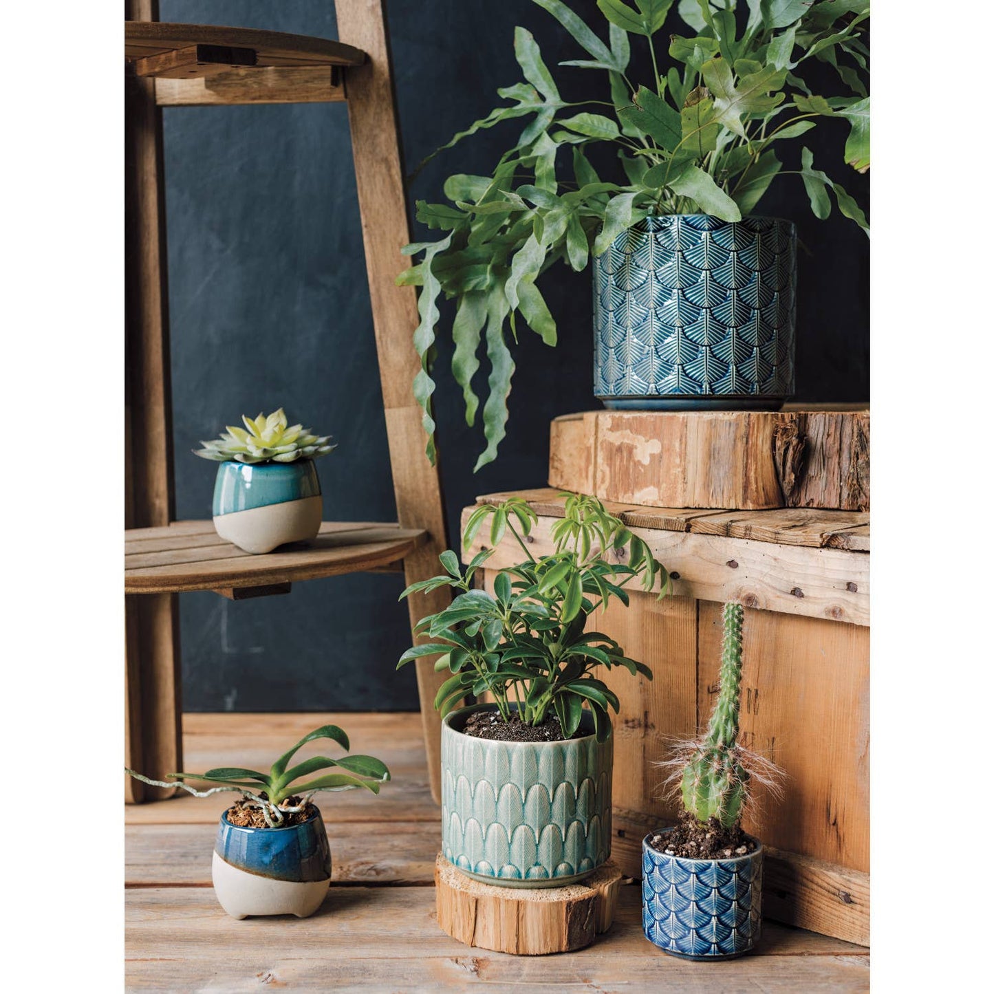 Turquoise Jewel Plant Pot
