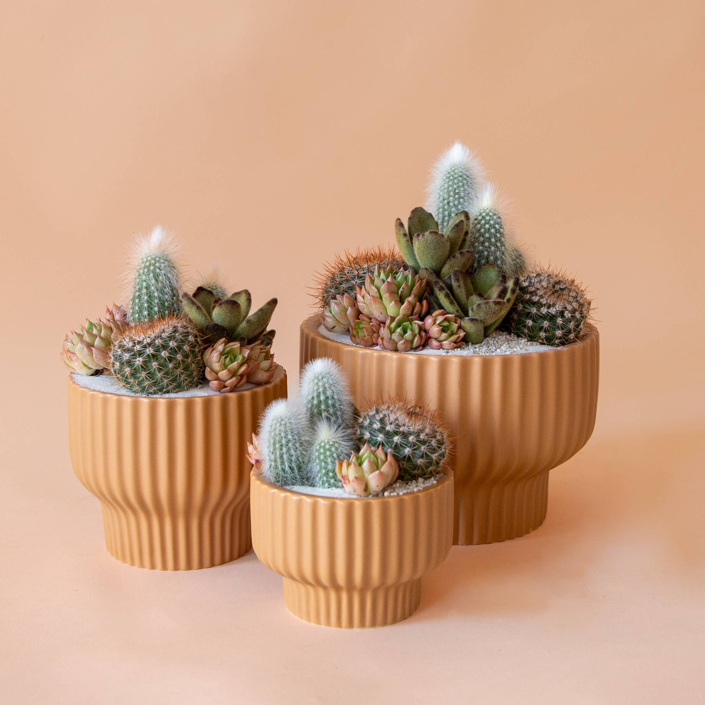 Presley Pedestal Planter | Ginger