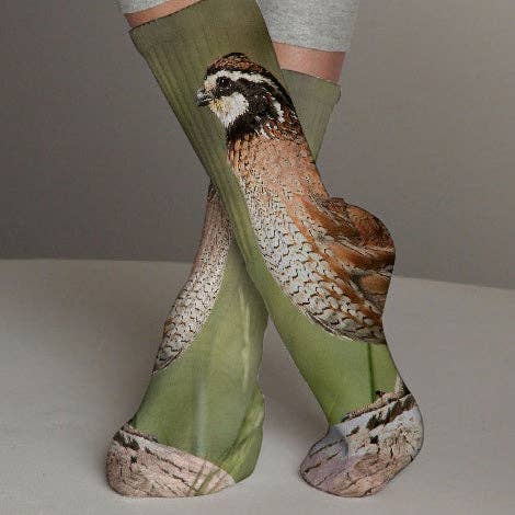 Northern Bobwhite Photo Designs Socks