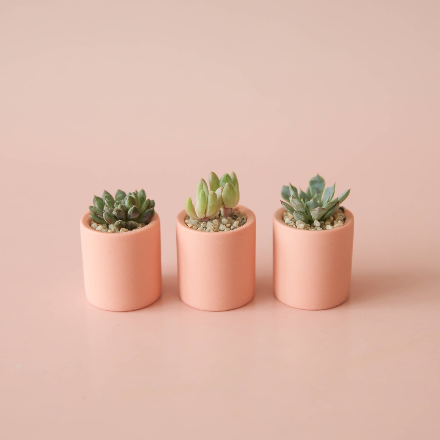 Tiny Pot | Peach
