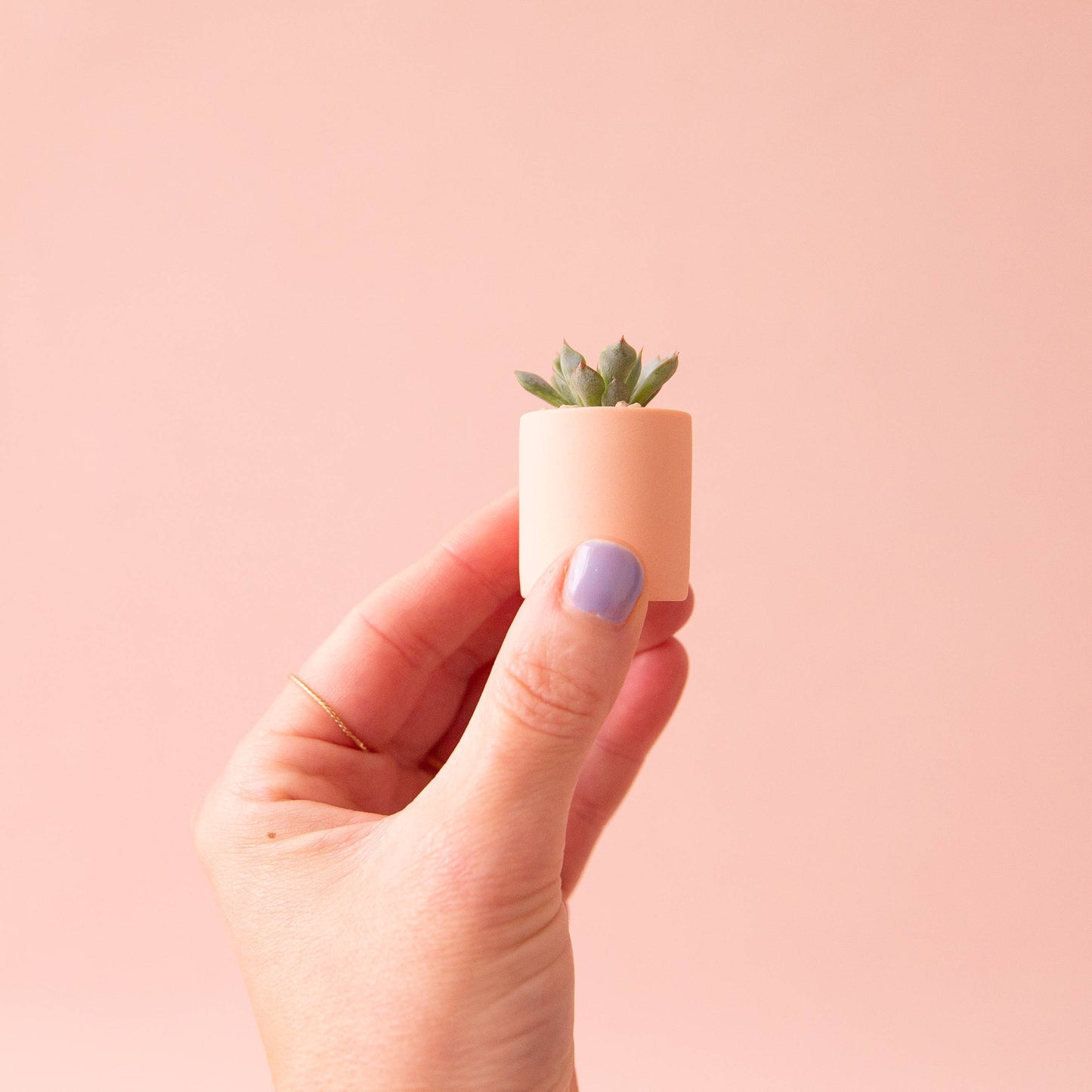 Tiny Pot | Peach