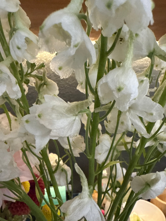 Lisianthus