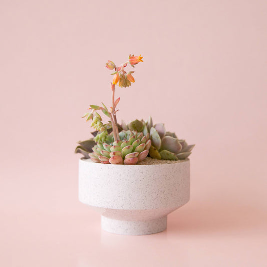 Speckle Footed Planter | White Large