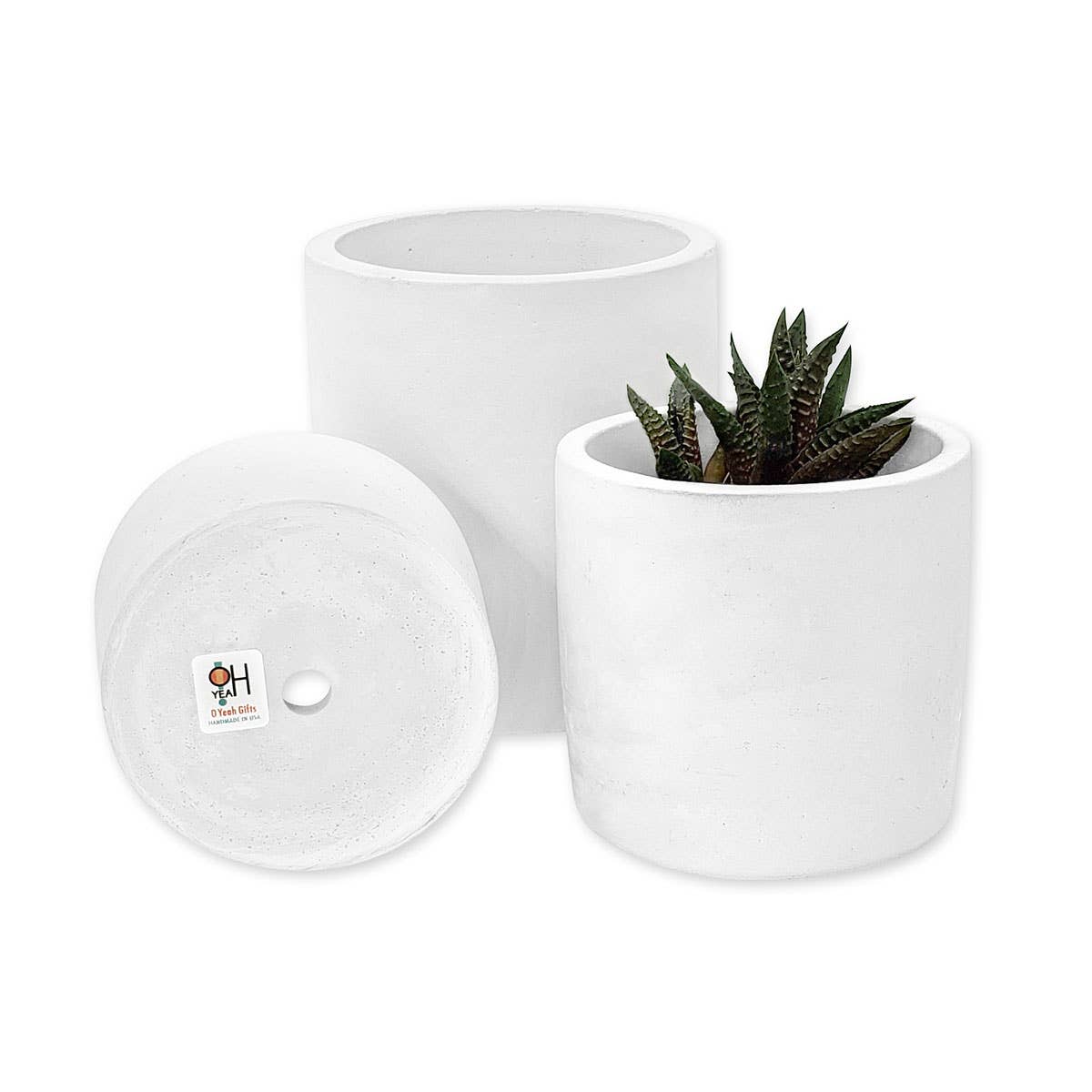 White Cement Succulent Planter | Small & Medium Round Pots