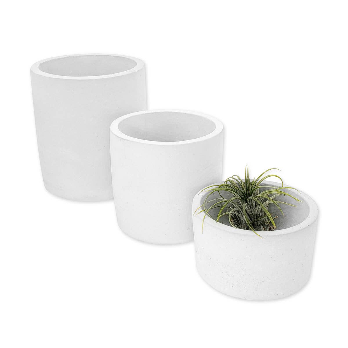 White Cement Succulent Planter | Small & Medium Round Pots