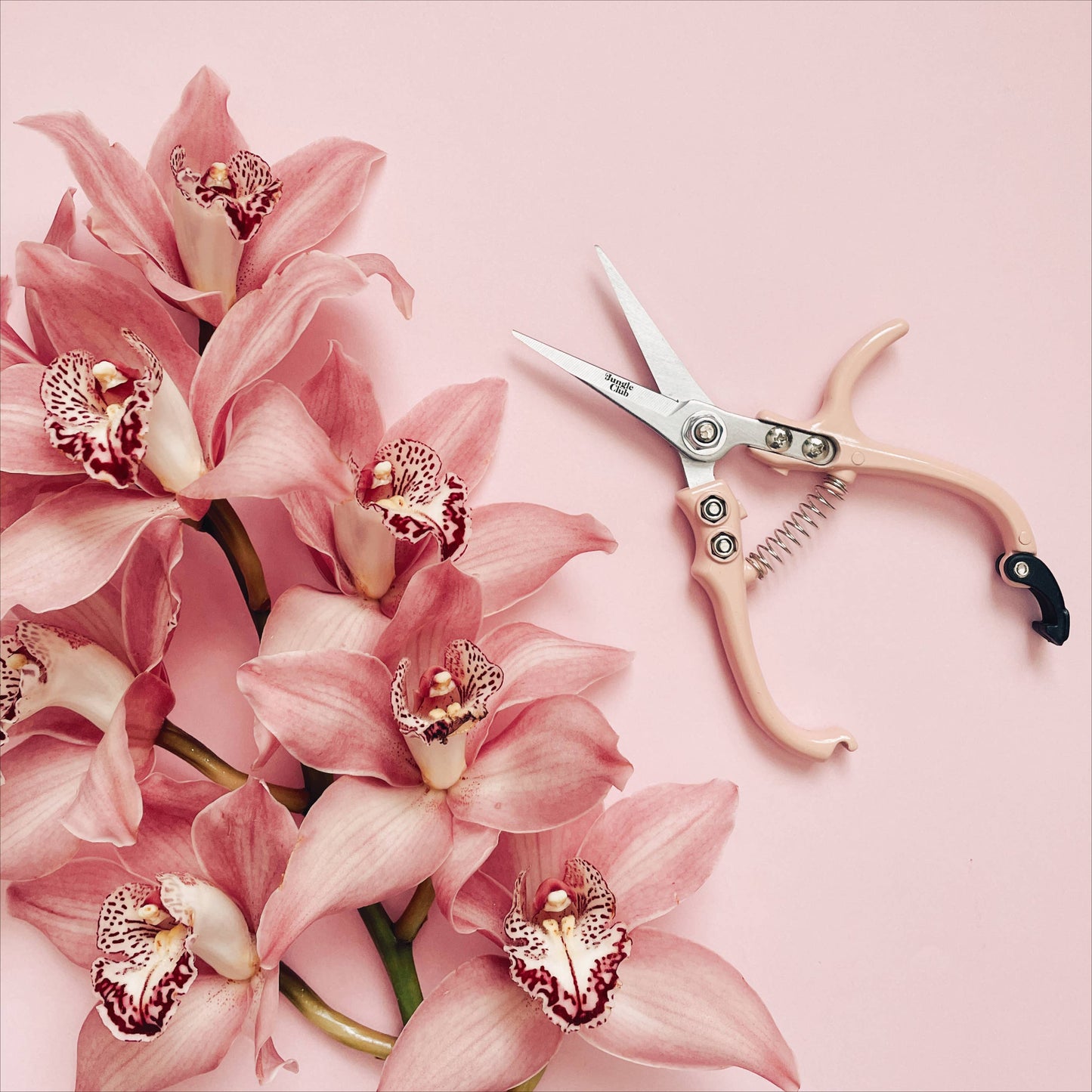 Pruning Shears | Pink