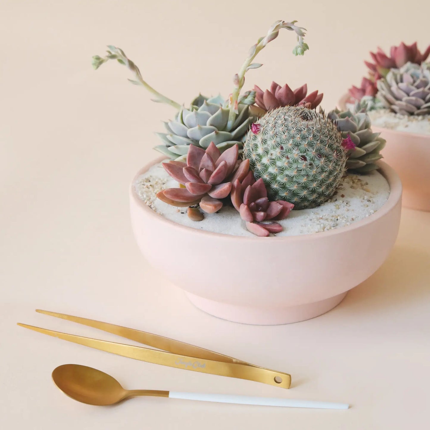 succulent tweezers Brass Planting Tweezers – Bonny Blooms Floral